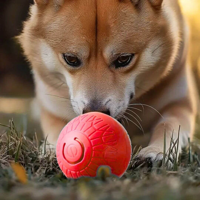 Brinquedo Bola de Salto Inteligente 02