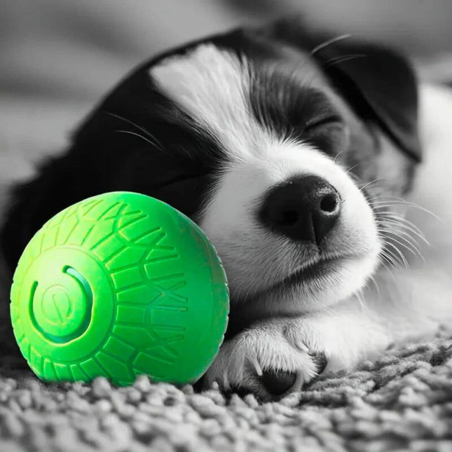 Brinquedo Bola de Salto Inteligente 038