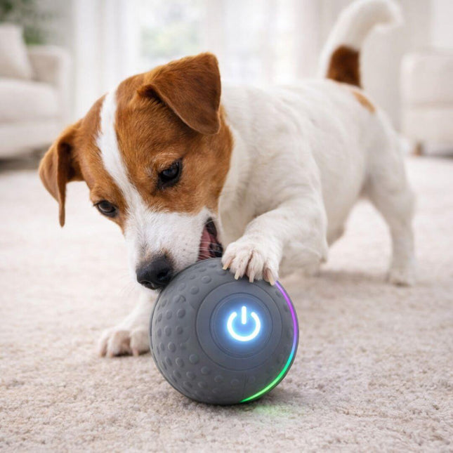 Brinquedo Bola de Salto Inteligente 0471