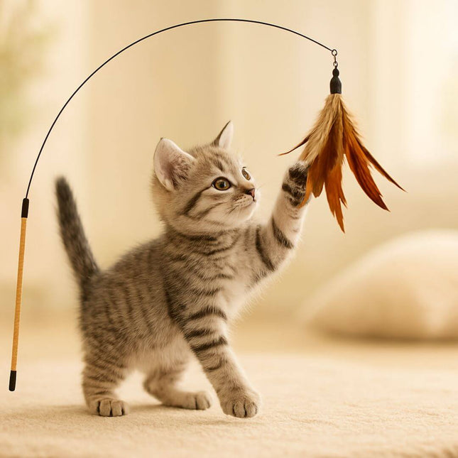 Brinquedo Gato Varinha de Penas 02