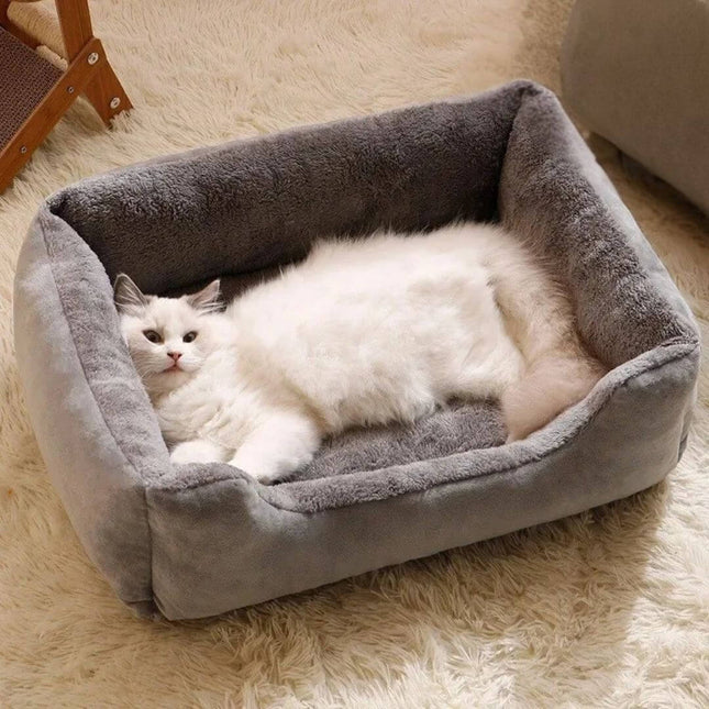 CamadeGatoBeiYuPet02