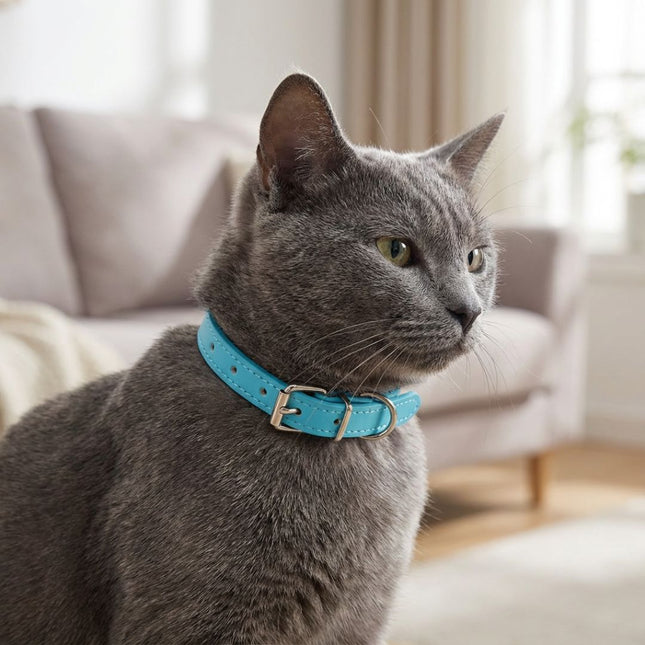 Coleira Gato Couro Premium Azul 02