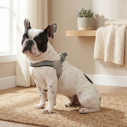 Coleira para Cão Peitoral Holapet Cinza M 02