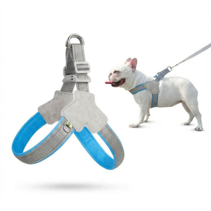 Coleira para Cao Peitoral Holapet Azul 03