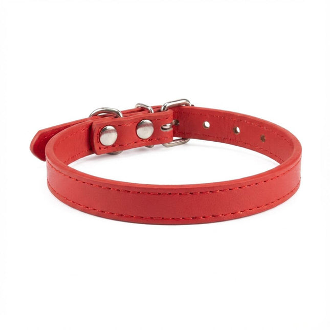 Coleira Gato Couro Premium Vermelha 01