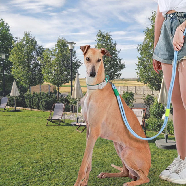 Trela_Multifuncional_Mabawa_022