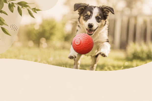 <h2>Brinquedos Para Momentos Felizes</h2>