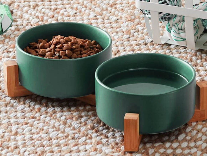 comedouro_cao_banner_02