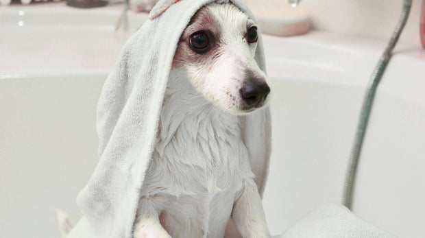 toalhas_e_secagem_01